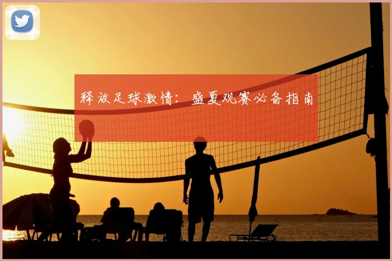 释放足球激情：盛夏观赛必备指南