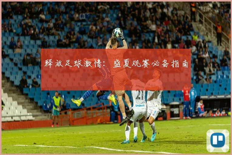 释放足球激情：盛夏观赛必备指南