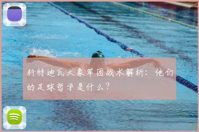 科特迪瓦大象军团战术解析：他们的足球哲学是什么？
